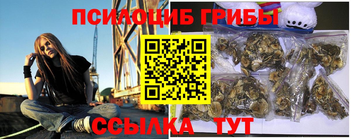 Галлюциногенные грибы мухоморы Юрга